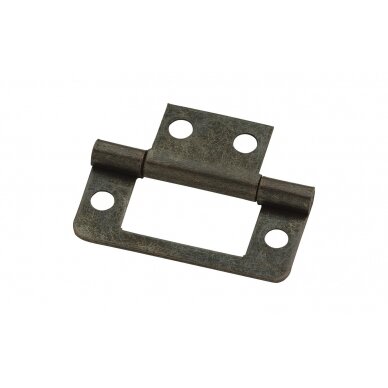 Metal hinge 1