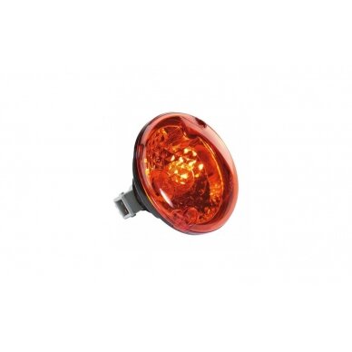 Rear indicator light