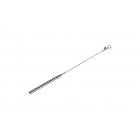 Roof support pole with spring steel end